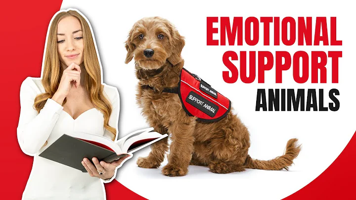 Discover the Benefits of Emotional Support Animals and Understand the Legal Protections