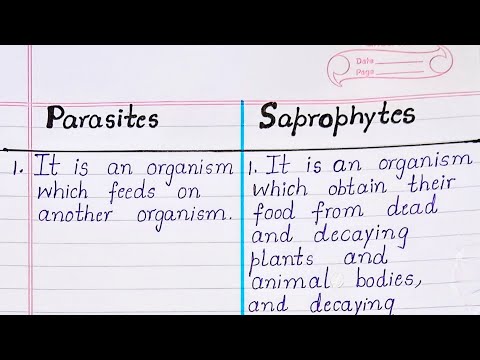 Difference between Parasites