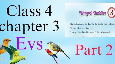 Kerala Class 4 EVS Chapter 3 “Winged Buddies” | 2025 SCERT Textbook | Full Answers#keralasyllabus 