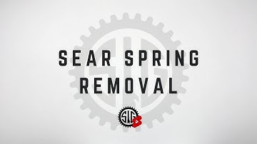 P320 SHORTCUTS -SEAR SPRING REMOVAL (SIMPLIFIED METHOD)