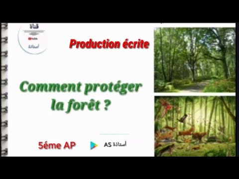 Vidéo: Comment Protéger La Forêt