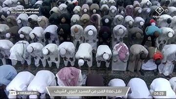 فجر الثلاثاء| للشيخ #خالد_المهنا 3-11-1444هـ | من سورة النساء