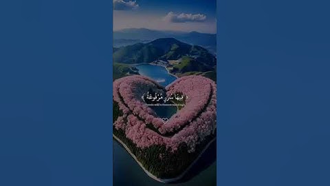 #اللهم_صل_وسلم_على_نبينا_محمد #تلاوة_خاشعة #راحة_نفسية #اكسبلور #قران_كريم #لايك #كومنت