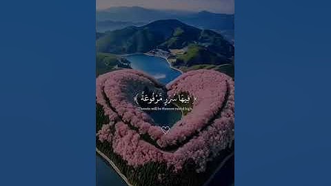 #اللهم_صل_وسلم_على_نبينا_محمد #تلاوة_خاشعة #راحة_نفسية #اكسبلور #قران_كريم #لايك #كومنت