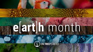 Earth is Art | One Tree Planted