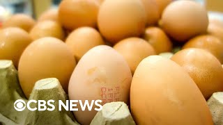 Egg prices are expected to soar