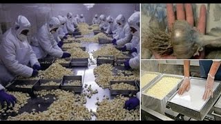 Никогда не покупайте и не ешьте этот чеснок! Вот что выяснилось Никогда не покупайте и не ешьте этот чеснок! Вот что выяснилось