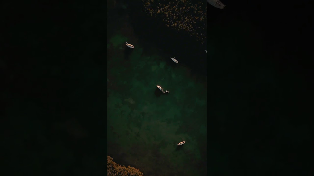 Caleb Arredondo - Echo Sax End