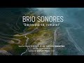 Brio Sonores - Desteapta-te, Romane! (Imnul Romaniei)
