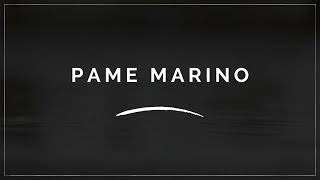 Video thumbnail of "HOY - PAME MARINO"