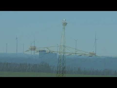 Freileitung - Windräder und Störche