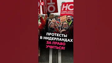 ???????? ? ???????????! ????? ??????????? ????????! #???????? #?? #?????????? #???????? #???????