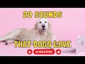 20 sounds that dogs love