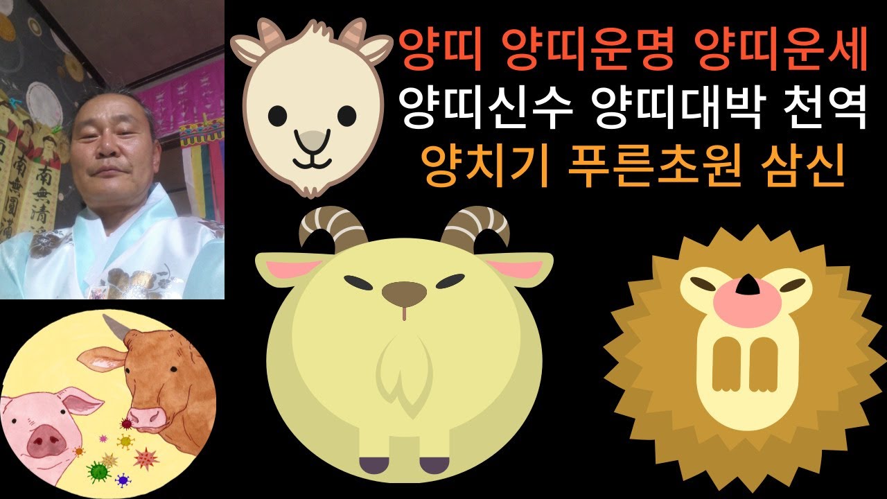양띠 양띠운세 양띠신수 양띠사주 양띠대박 계묘년 신수풀이 역마살 양띠운명 - YouTube