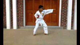 Ahmed Abdelhamid Karate Kata By Church