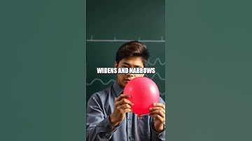 The Hidden Echo: An Ordinary Balloon Reveals Sound Waves