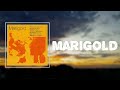 Jelani aryeh  marigold lyrics 