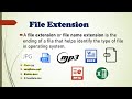 What is File Extension in Computer | Basic Computer Tutorial | Next Learn