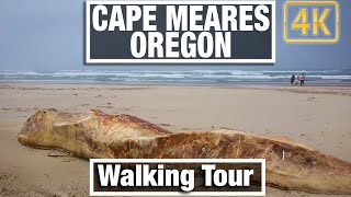 4K City Walks - Oregon Beach Walk - Cape Meares - Virtual Travel Walking Trails Treadmill Scenery