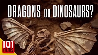 Dragons or Dinosaurs? (2010) | Full History Documentary Movie |