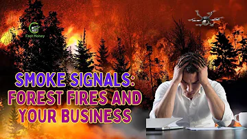 Smoke Signals: Forest Fires and Your Business | Fast Money Locator