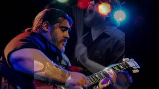 Nick Moss ( The Nick Moss Band / Nick Moss & The Flip Tops ) ~ Tribute ( Modern Electric Blues )