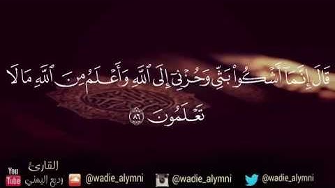 ما تيسر من سورة يوسف - القارئ وديع اليمني