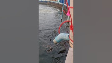 เครื่องให้อาหารปลาผ่านมือถือ