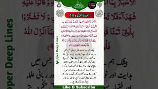 Surah e Al-Muaida Ayat No 44][44سورۃ المائدہ آیت نمبر@GripperDeepLines