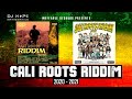 Cali Roots Riddim Mix (Full Album 2020 - 2021) DJ Hope Mathematics [Anthony B, Collie Buddz, Etana]