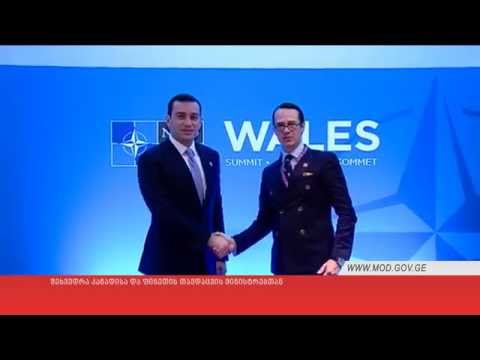 შეხვედრა კანადისა და ფინეთის თავდაცვის მინისტრებთან