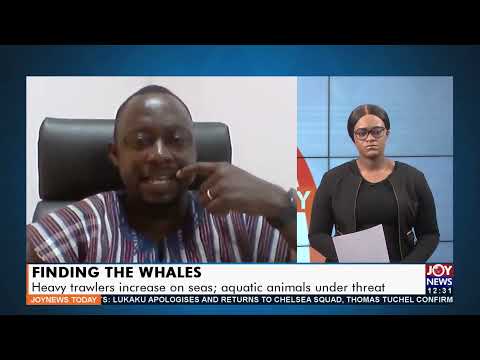 Heavy trawlers increase on seas; aquatic animals under threat of extinction - Joy News Today(5-1-22) Heavy trawlers increase on seas; aquatic animals under threat of extinction - Joy News Today(5-1-22)