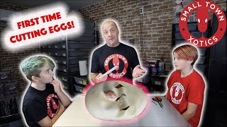 Our First Egg Cutting + The Scales Family First Egg Cutting! Profile