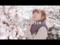 Spring bloom  cinematic vlog