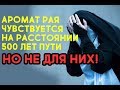 4 человека, которые даже НЕ ПОЧУВСТВУЮТ аромат РАЯ