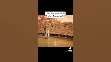 ماشي بنور الله 