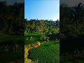 Keindahan Alam yang Masih Tersembunyi di Indonesia #Shorts
