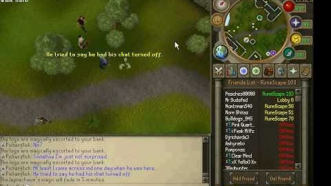 RS Rimmington wc bots 2010-06-16.avi