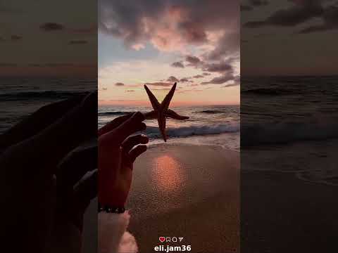 صدام که میکنی جانم میشنوی عاشقانه