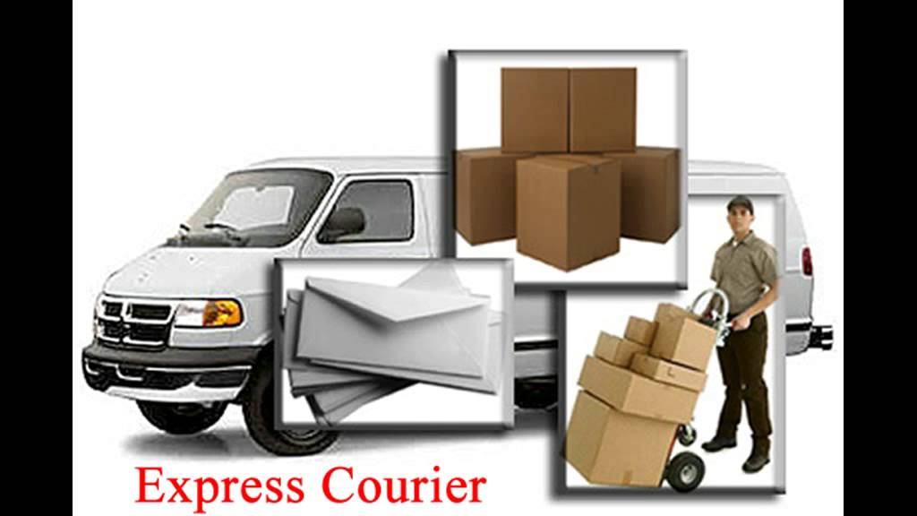 Aerolines - Air Freight Services