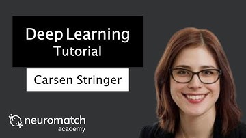 Deep Learning Tutorial 2 Video 1
