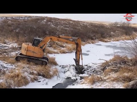 Beaver Dam Removal With Excavator ! Dangerous Floods & Dredging Compilation