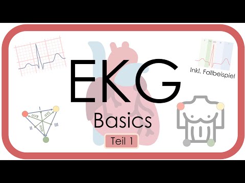 EKG Basics - Step by Step - Grundlagen (Einthoven, Frequenz, Lagetyp, P-Welle, QRS) EKG-Kurs