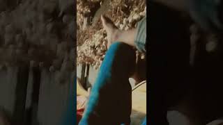 6estrelas jechuswriting U0026jechuswriting jf17thander jdvance iranisraelwar j j rjexperiment 