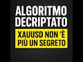 La Verità su XAUUSD che Nessuno Ti Dice – Come Decriptare l’Algoritmo dell’Oro Metodo Infinity