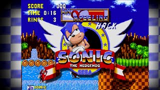 An Apeeling Sonic Hack (SHC2015)
