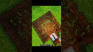 Minecraft Fake Dragon 🐉 #minecraft #shorts