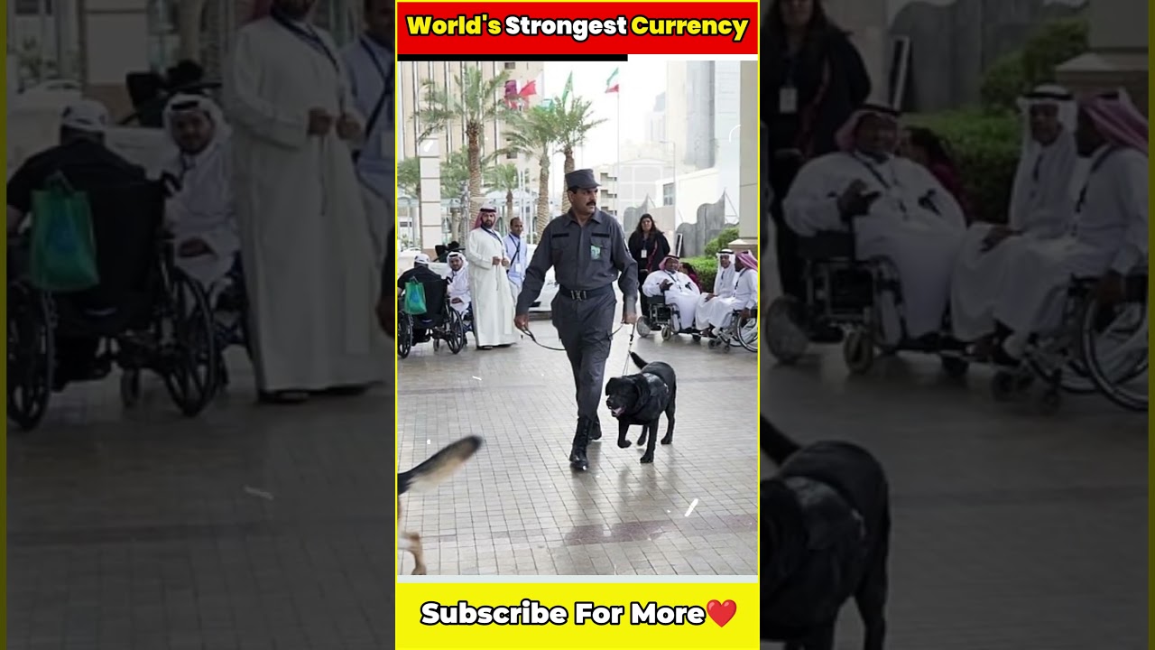 🤯🤑Strongest CURRENCY💪|  