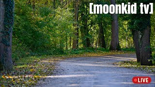 IRL Mornings with Moonkid