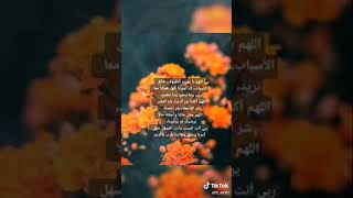 القارئ اسلام صبحي